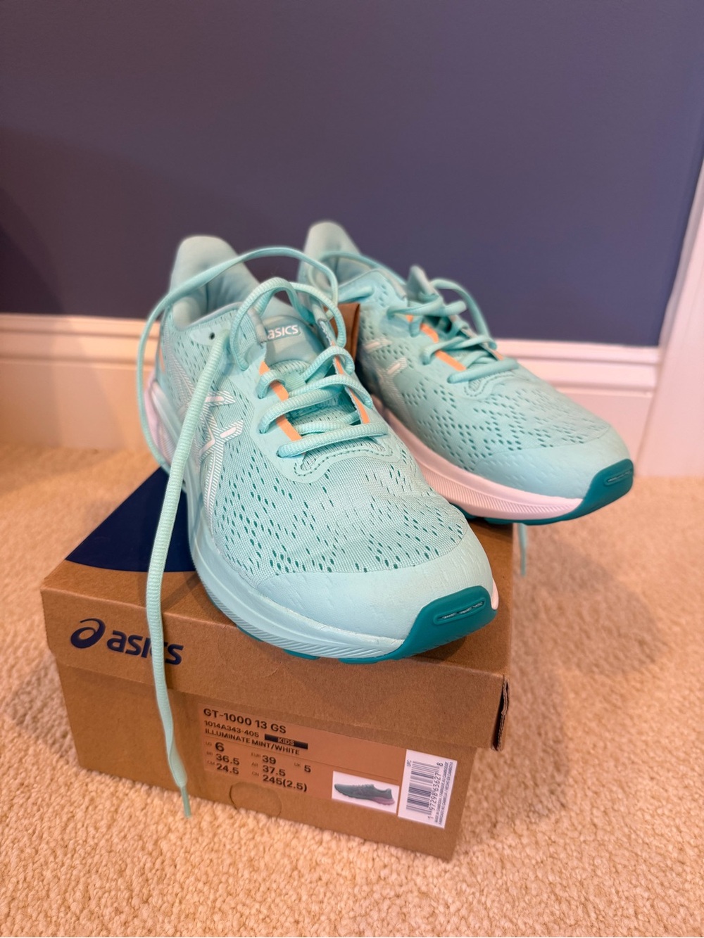 ASICS GT-1000 13 Grade School Running Shoes New Size 6